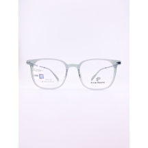 PLEIK PHOLPPE 26239 C4