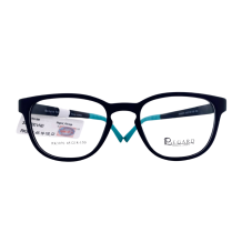 RK3070_C2