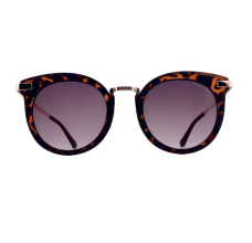 GUESS GF6041