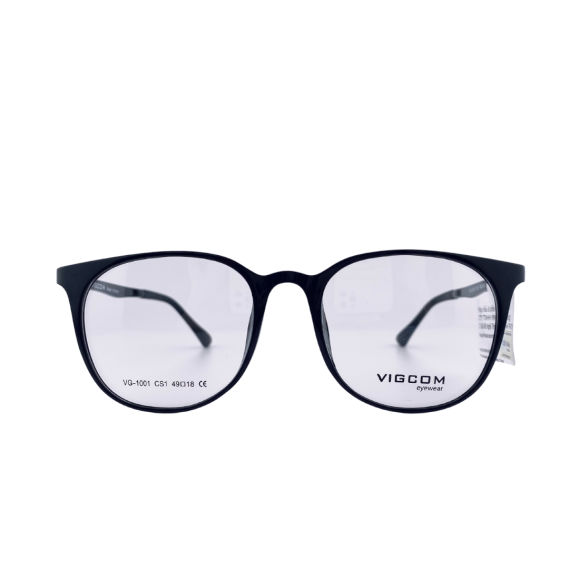 VG1001-CS1